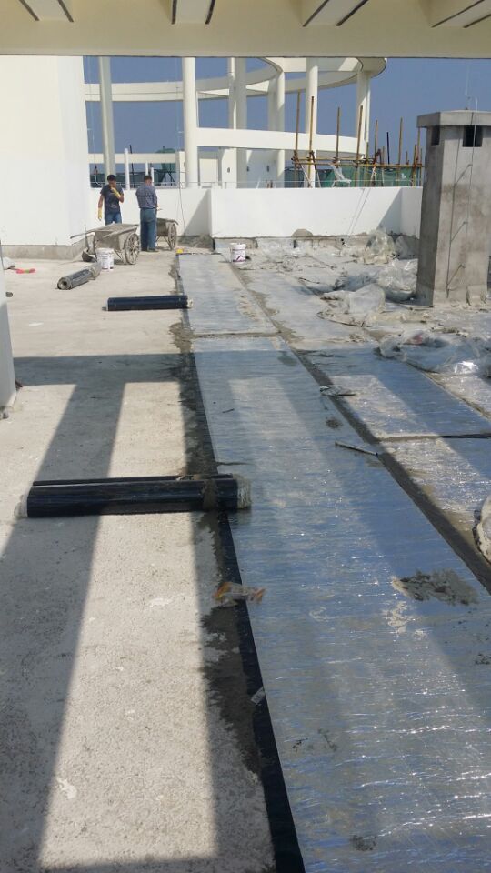 桂林雍王府防水工程(51) - 廣西三象建筑安裝工程有限公司 www.www.neslort.com